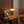 Nova Orange in a warm mid century interior