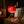 Bloom glass lamp glowing, close up