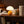 Momo table lamp in Marigold