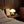 Momo table lamp in Sage